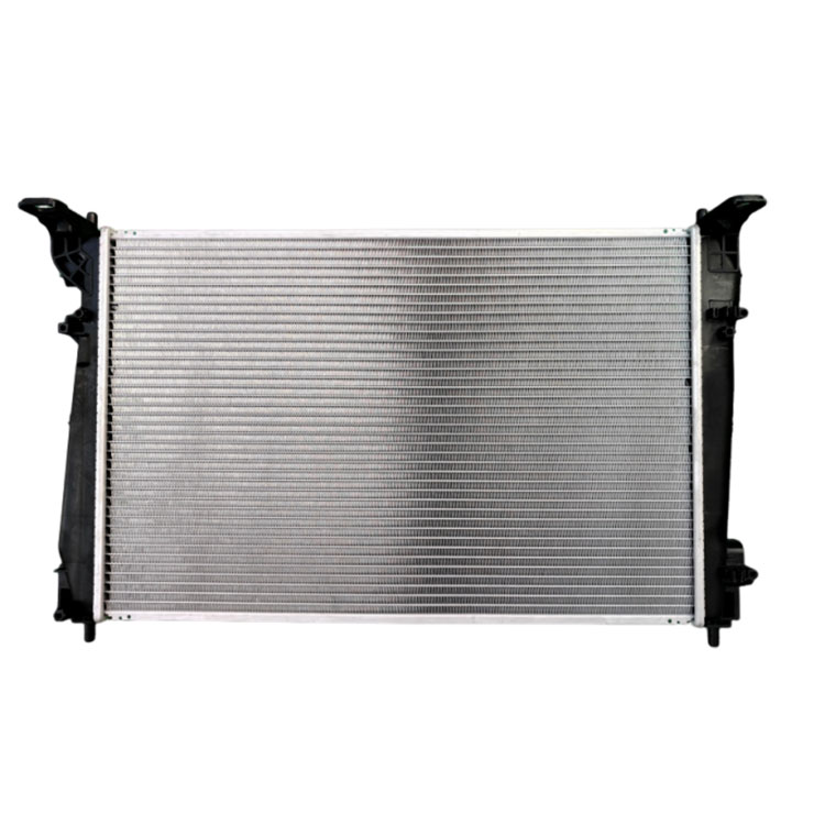 06 Fiat Boyue Radiator